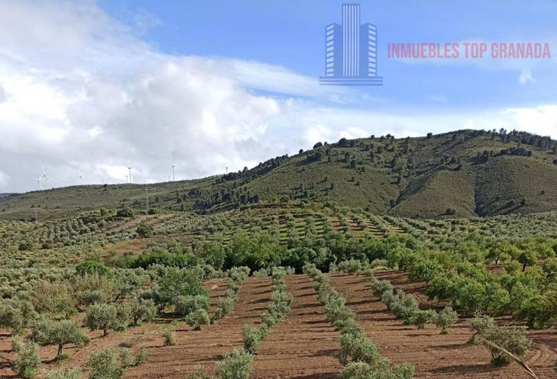 For sale of land in Padul