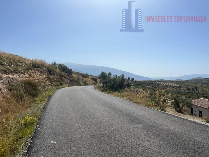 For sale of land in Padul