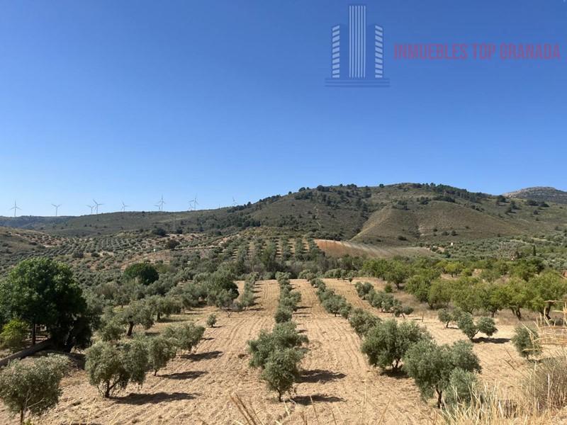 For sale of land in Padul