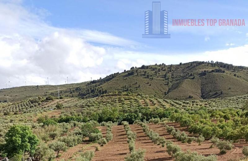 For sale of land in Padul