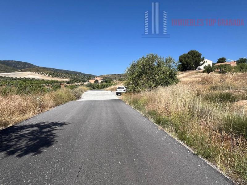For sale of land in Padul