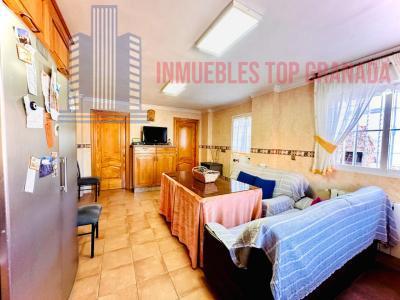 Venta de chalet en Monachil