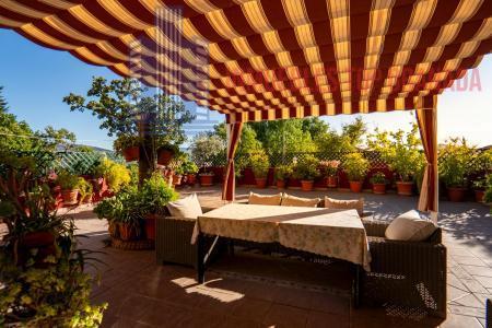 For sale of chalet in Ogíjares