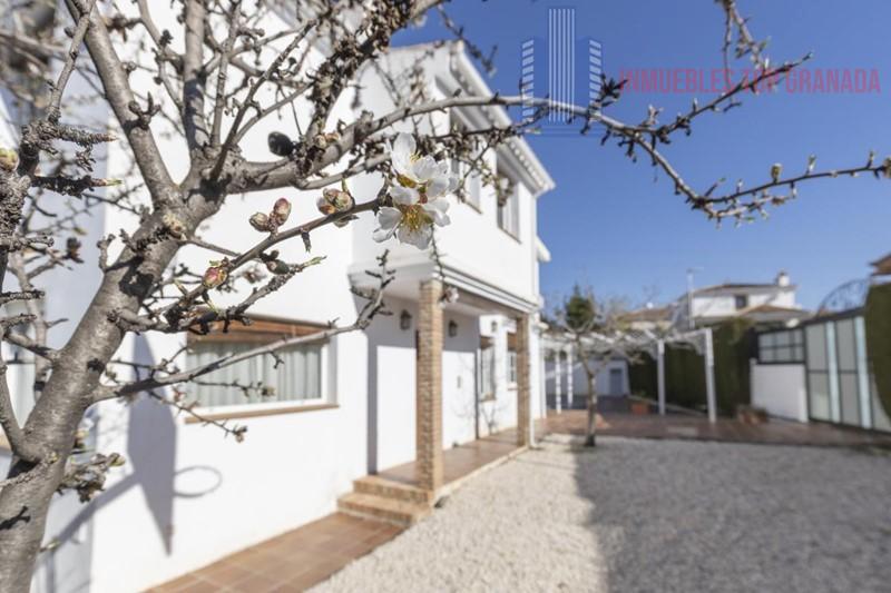 For sale of house in Peligros