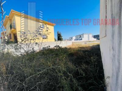 For sale of land in Belicena