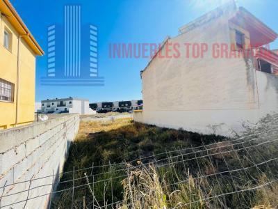 For sale of land in Belicena
