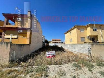 For sale of land in Belicena