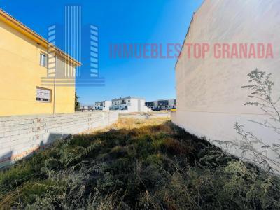 For sale of land in Belicena