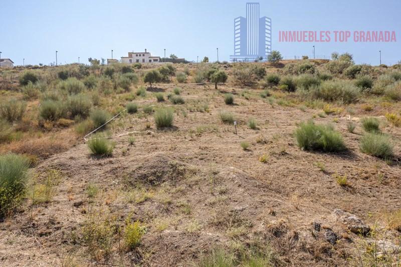 For sale of land in La Zubia