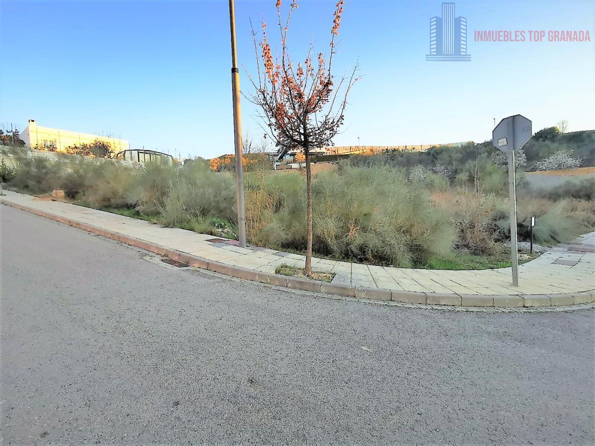 For sale of land in La Zubia
