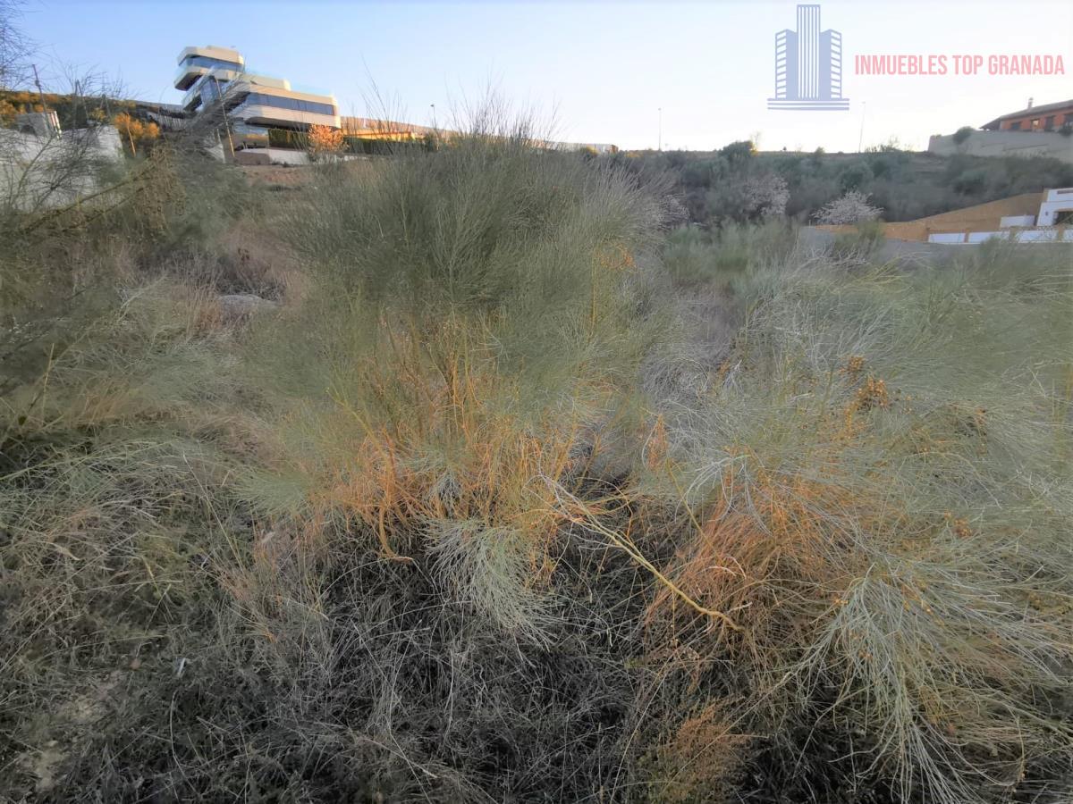 For sale of land in La Zubia