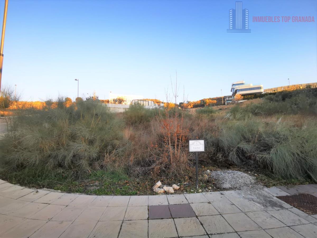 For sale of land in La Zubia