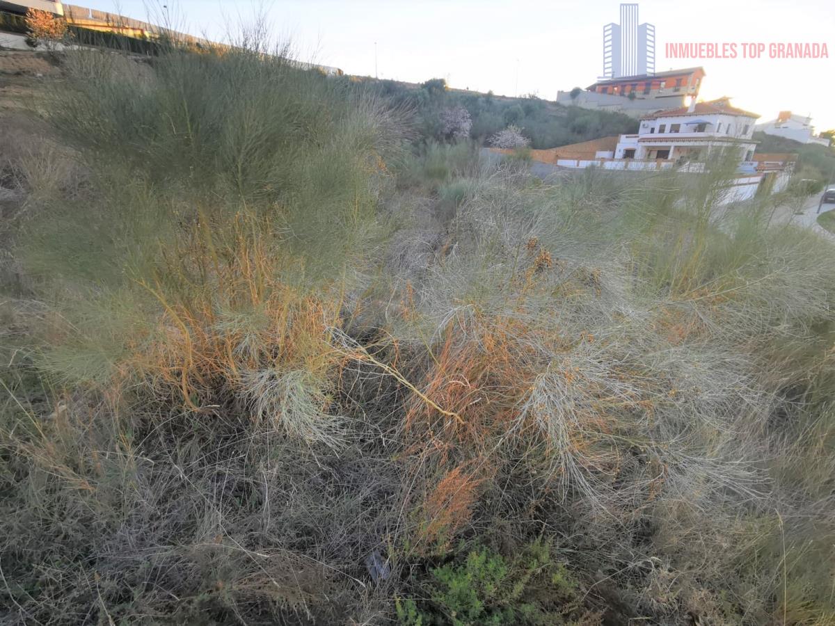 For sale of land in La Zubia