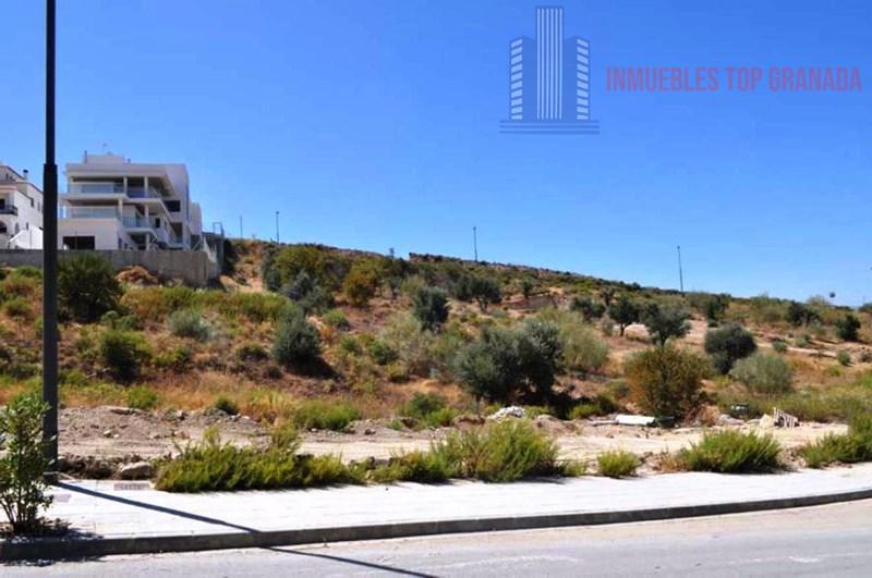 For sale of land in Padul