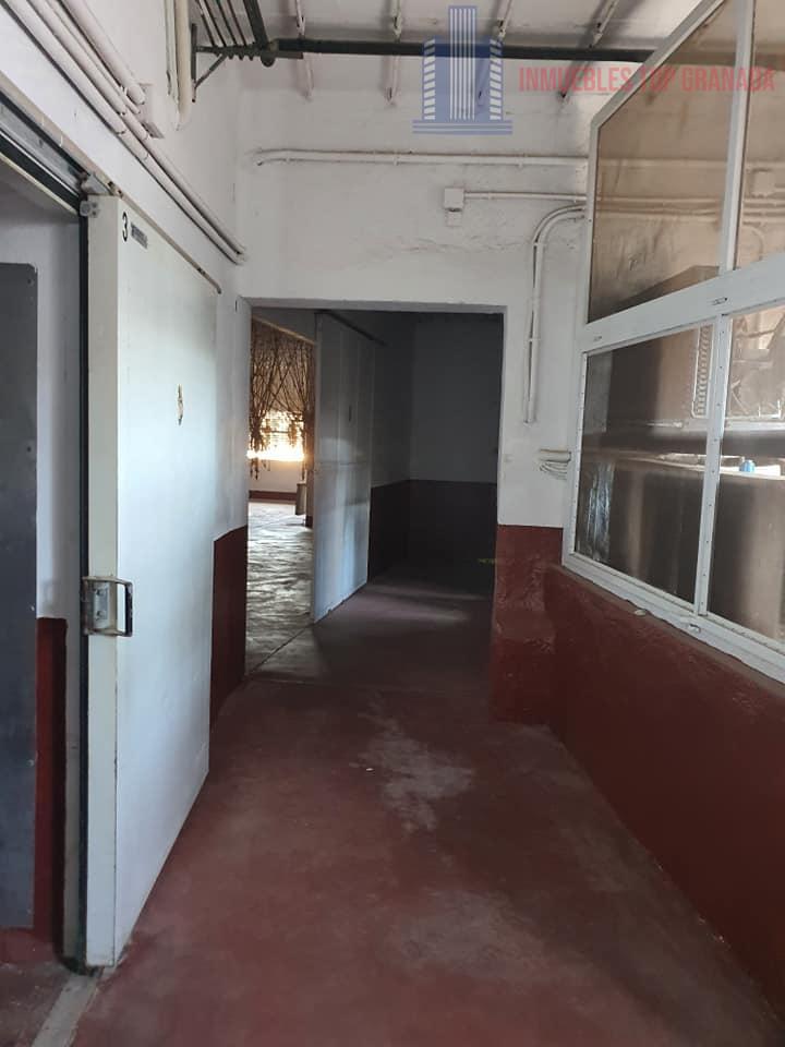 Venta de nave industrial en Colomera
