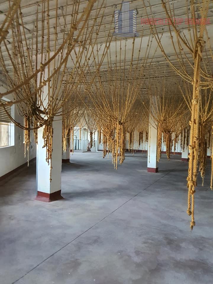 Venta de nave industrial en Colomera