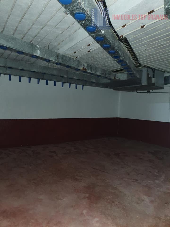 Venta de nave industrial en Colomera