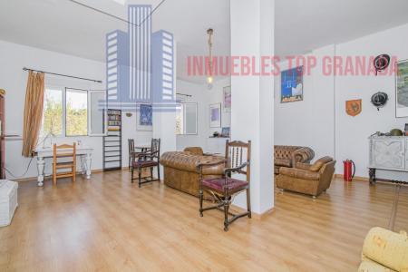 For sale of house in Gójar