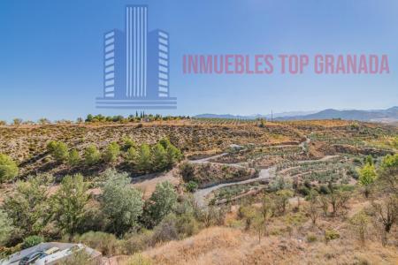 For sale of house in Gójar