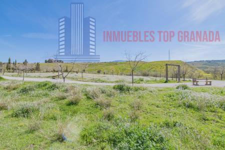 For sale of land in Cájar