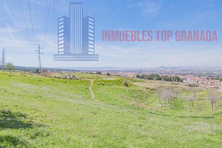 For sale of land in Cájar