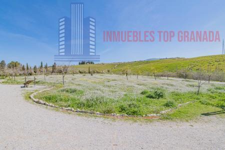For sale of land in Cájar