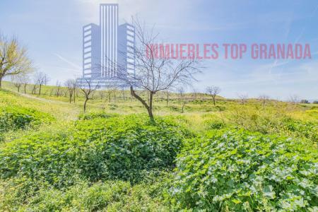 For sale of land in Cájar