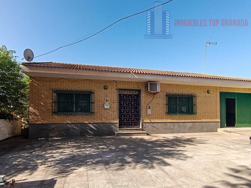 For sale of house in Belicena