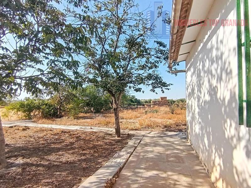 For sale of house in Belicena