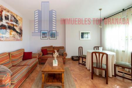 For sale of chalet in Monachil