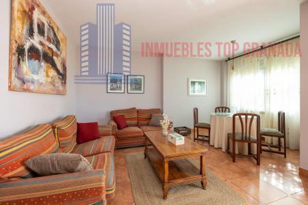 For sale of chalet in Monachil