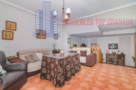 For sale of house in Churriana de la Vega