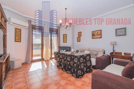For sale of house in Churriana de la Vega