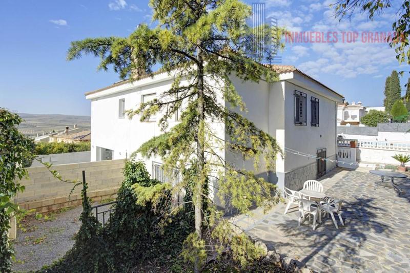 For sale of house in Padul