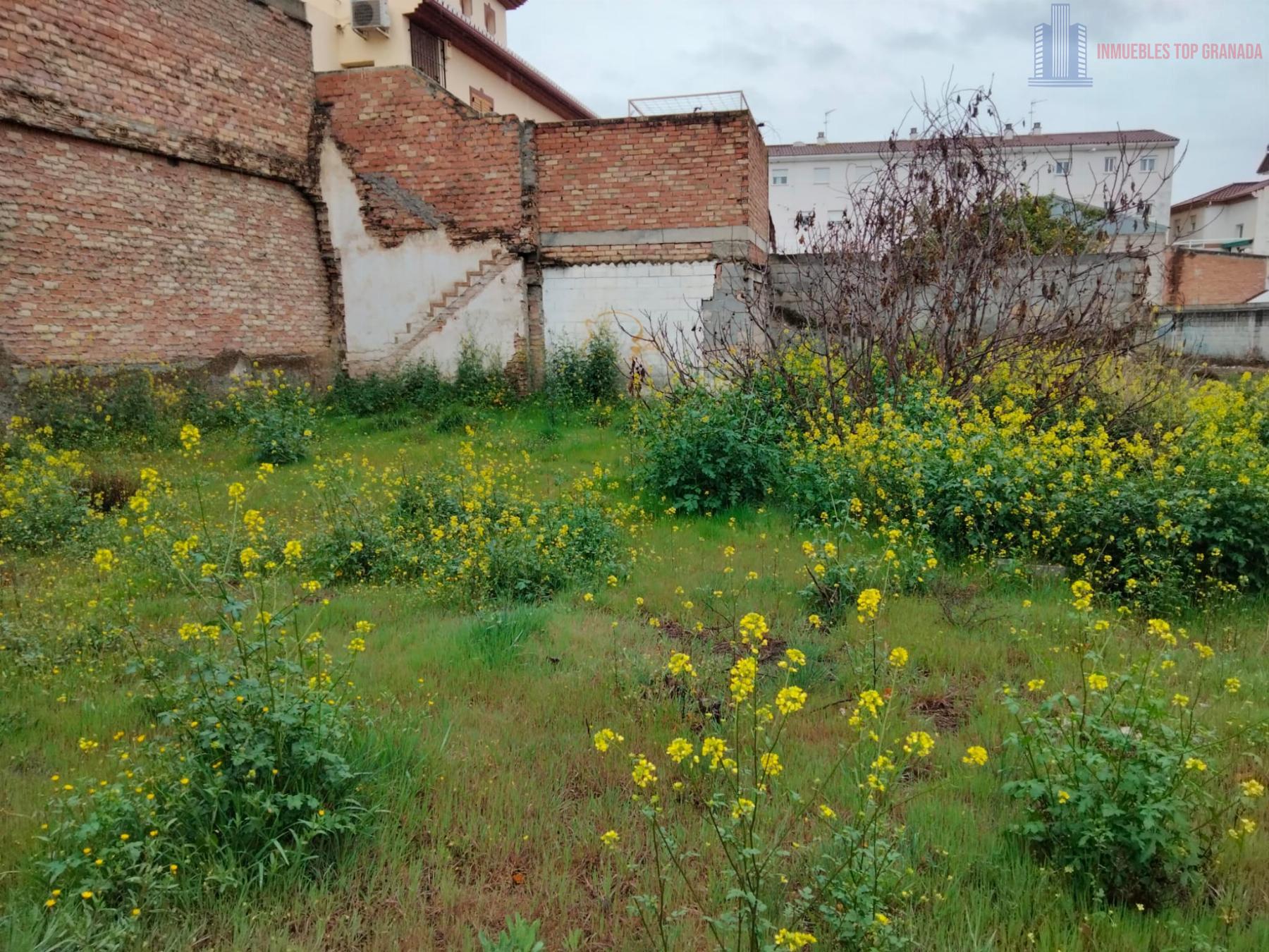 For sale of land in Maracena