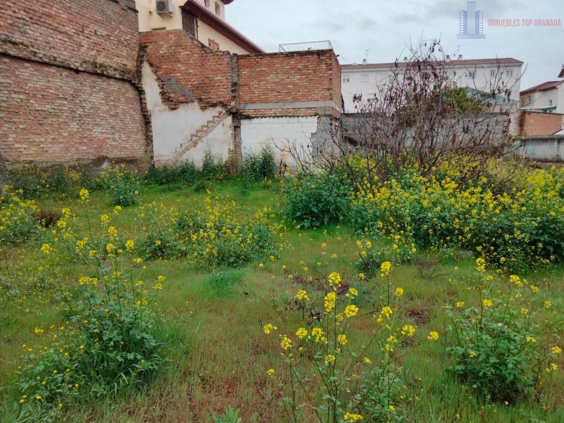 For sale of land in Maracena