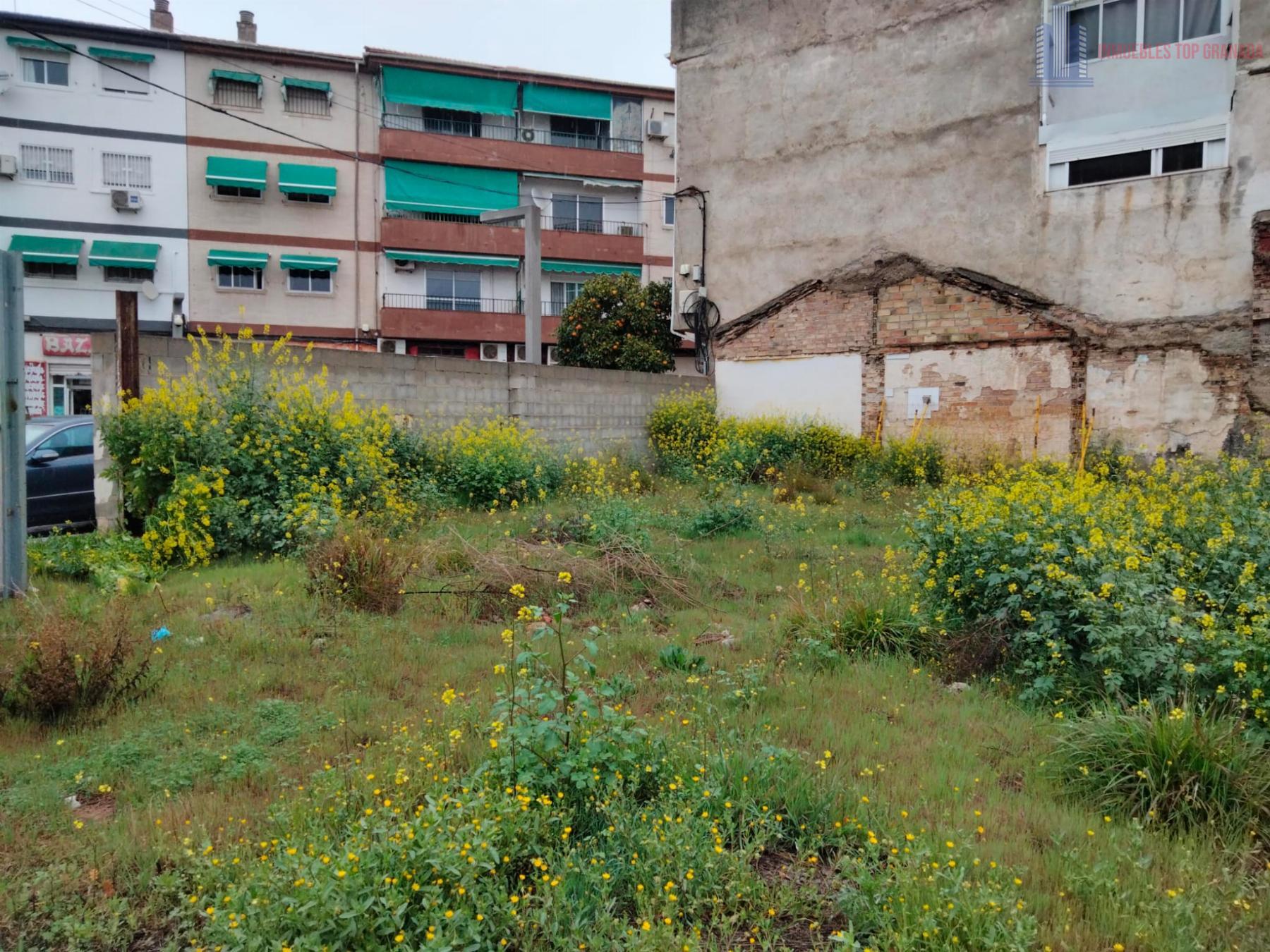 For sale of land in Maracena