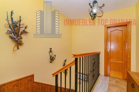 For sale of house in Belicena