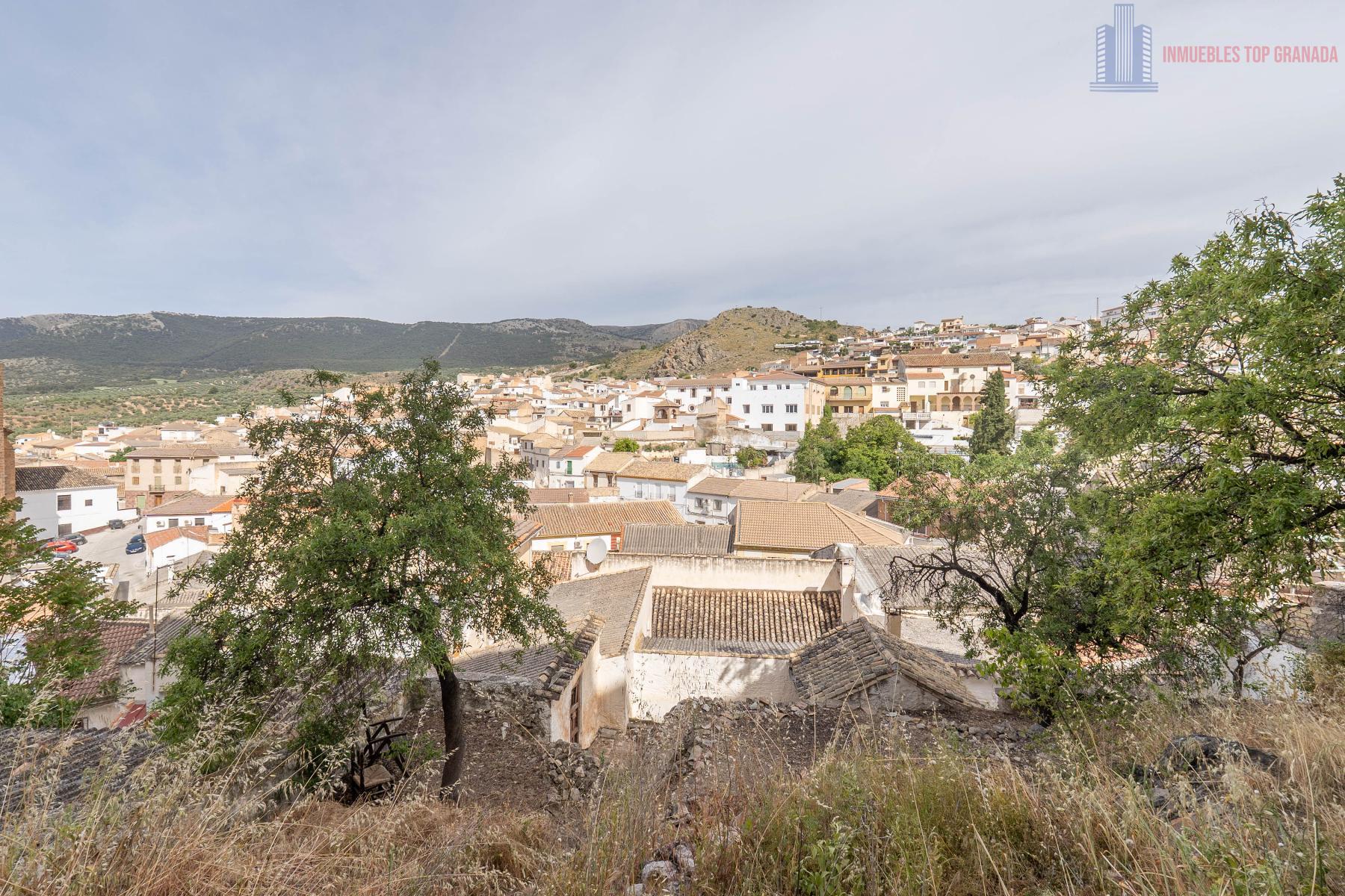 For sale of house in Illora