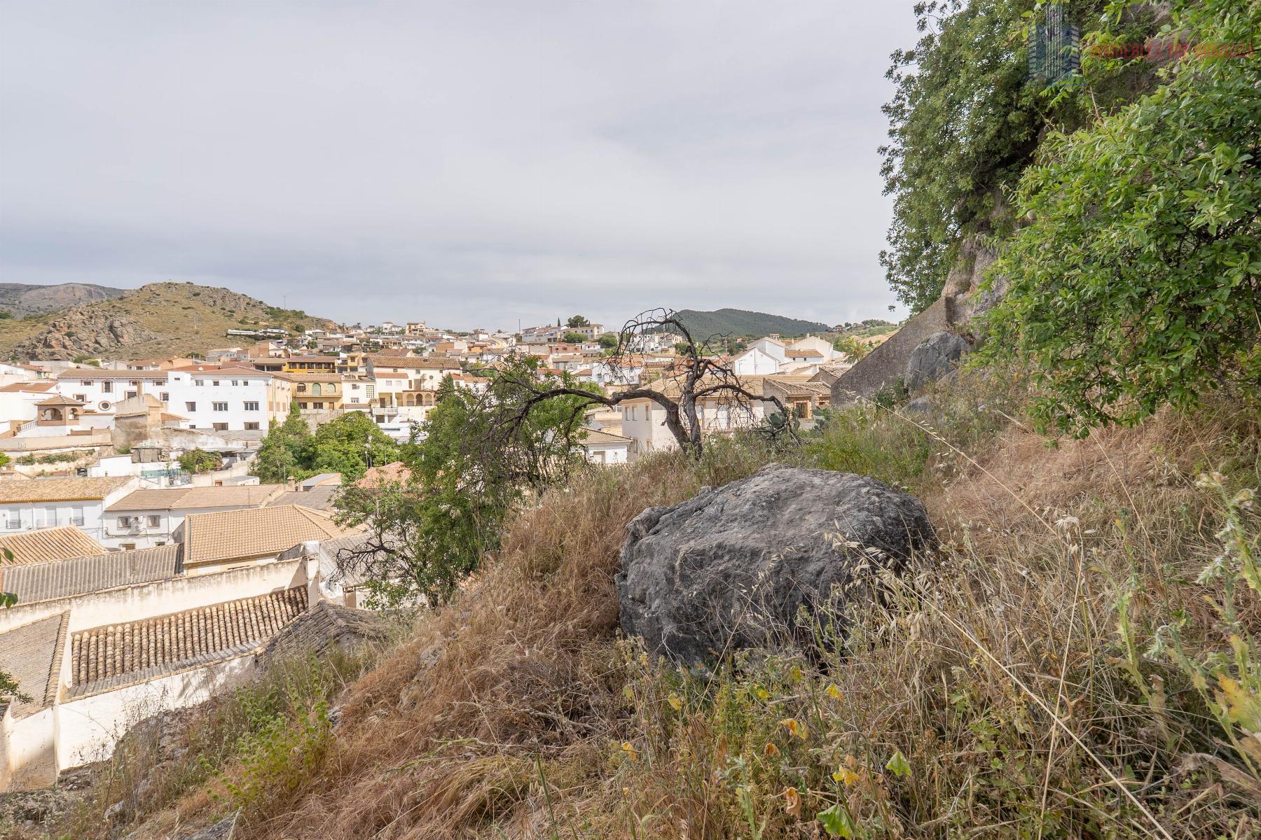 For sale of house in Illora