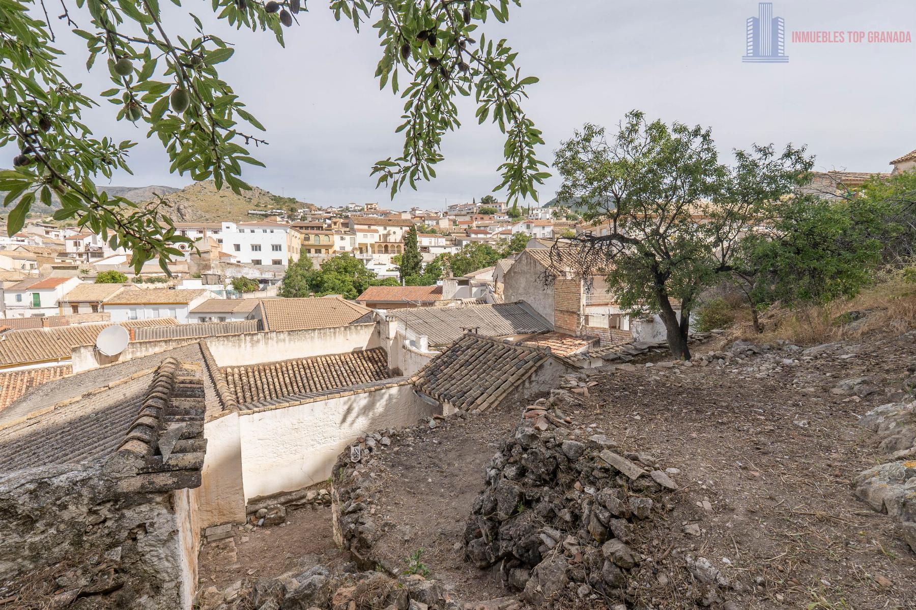 For sale of house in Illora