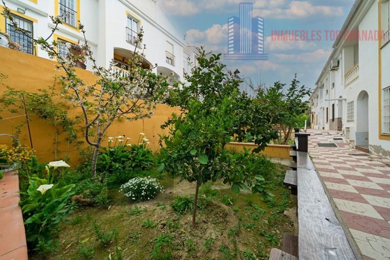 For sale of house in Otura