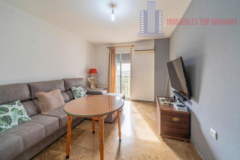 For sale of house in Otura