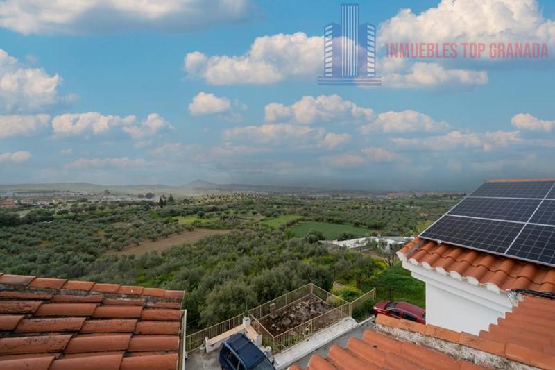For sale of house in Otura
