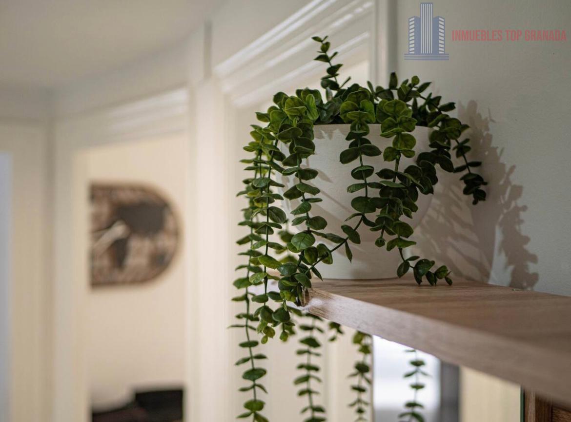 For sale of flat in Granada