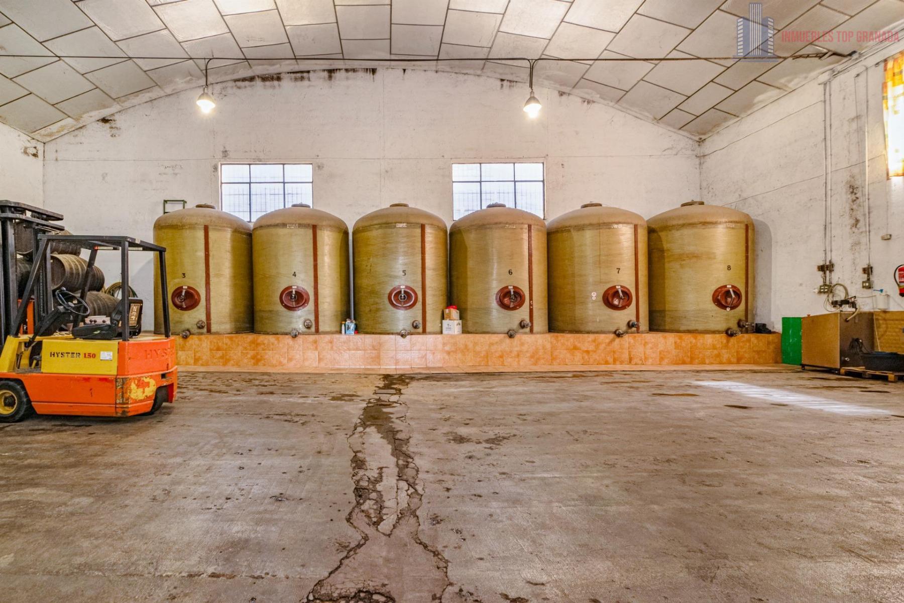 For sale of cellar in Alhendín