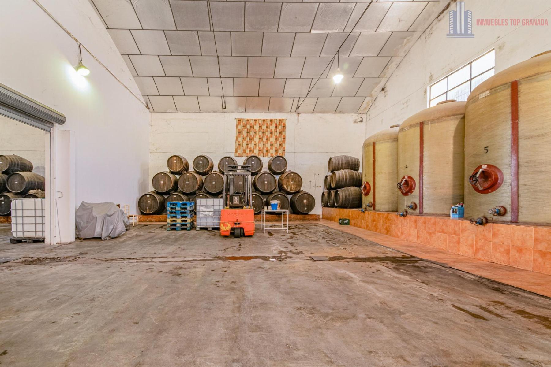 For sale of cellar in Alhendín