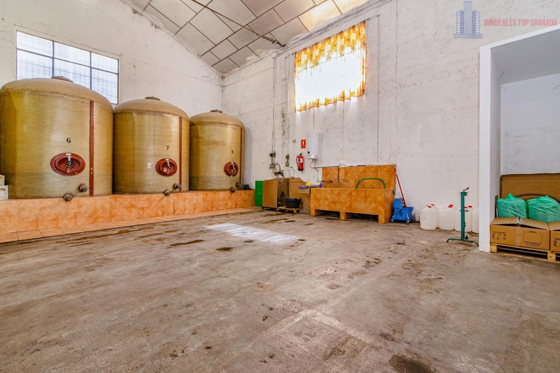 For sale of cellar in Alhendín
