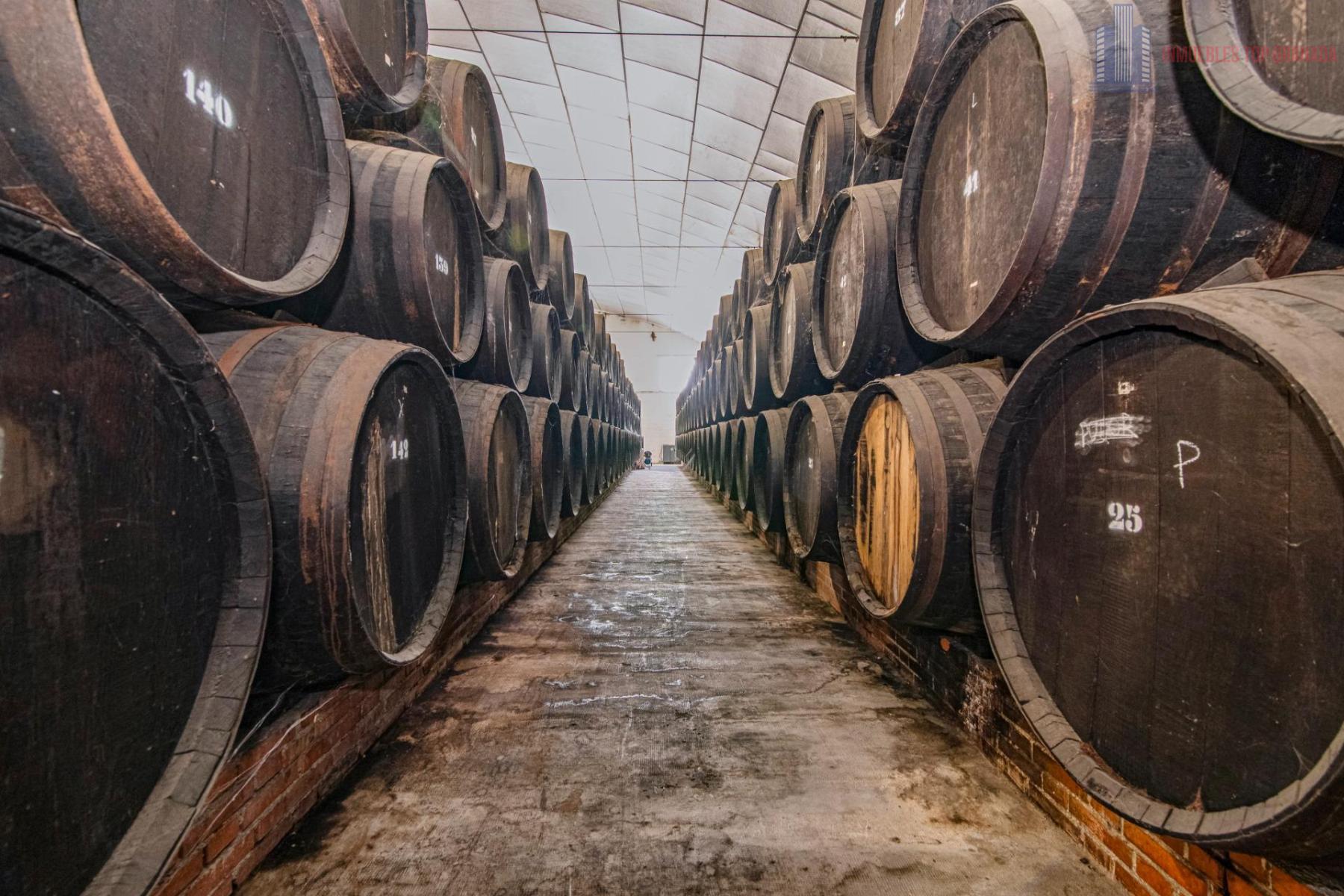For sale of cellar in Alhendín