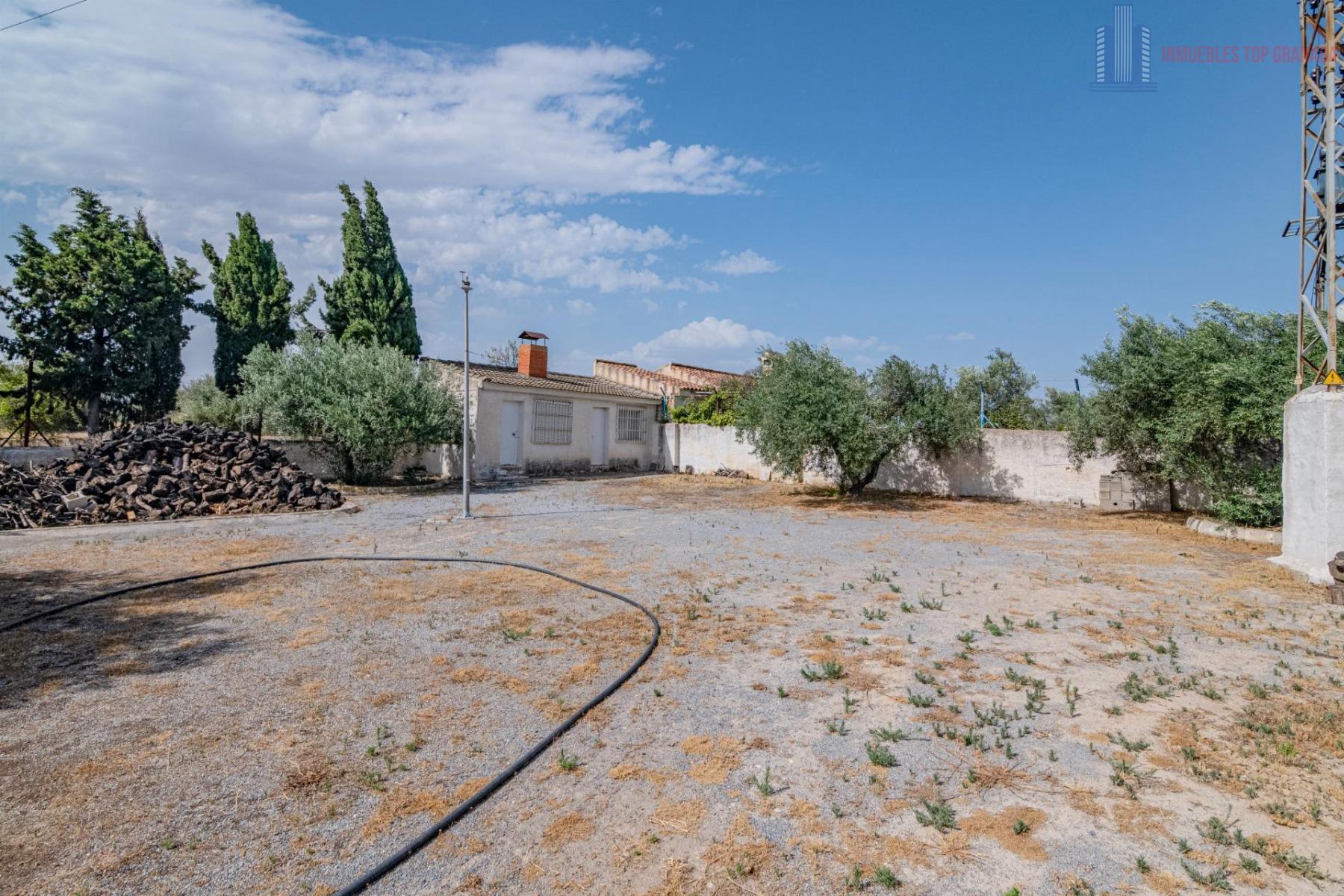 For sale of cellar in Alhendín